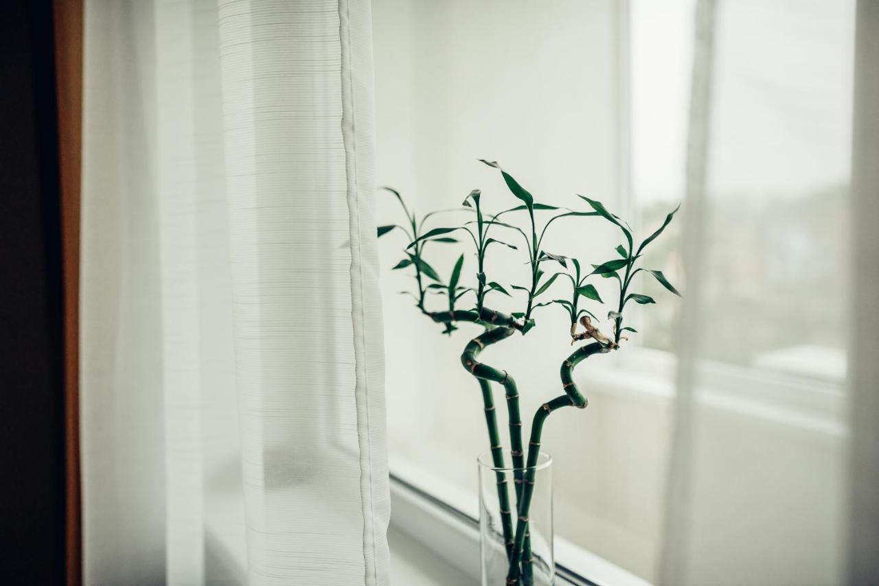 Pine Apartment 维萨吉纳斯 外观 照片
