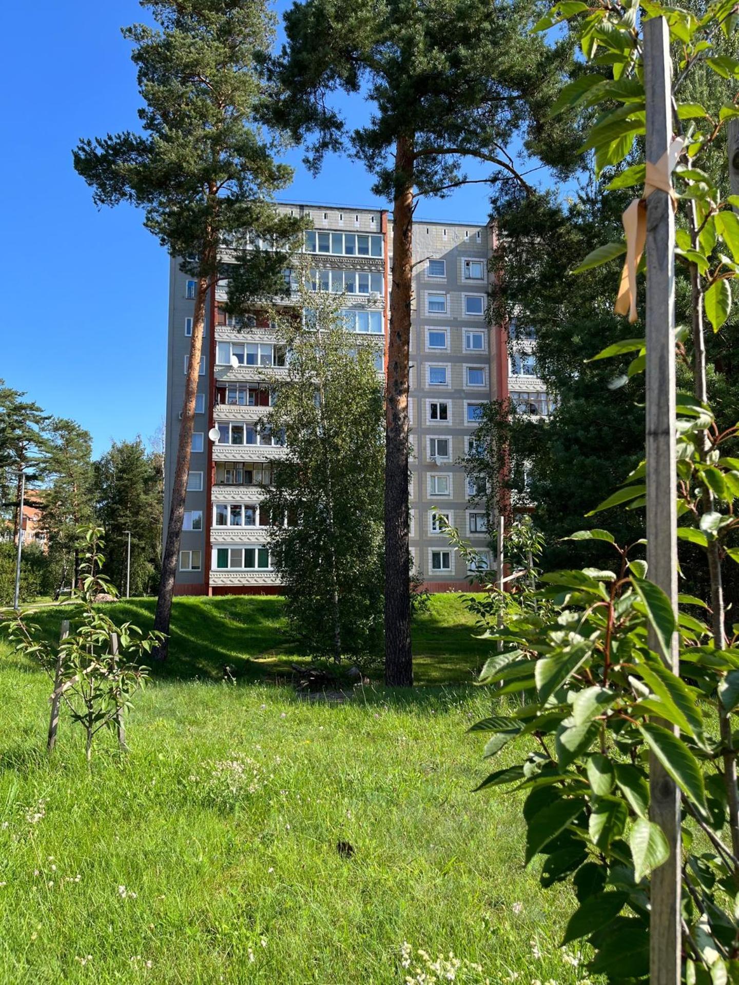 Pine Apartment 维萨吉纳斯 外观 照片
